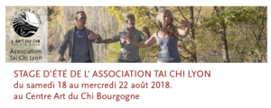 stage de Tai Chi Lyon au centre Art u Chi bourgogne