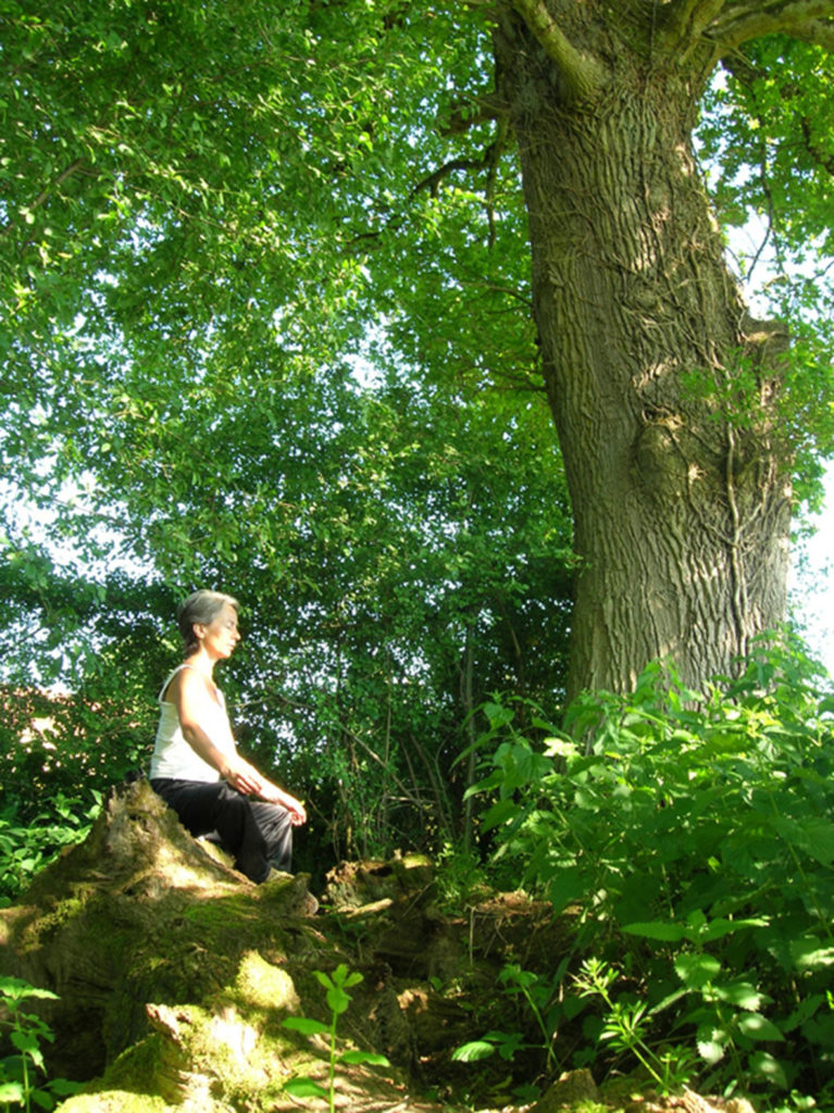 Anne-Marie en assise sur et sous un chêne au centre Art du Chi bourgogne