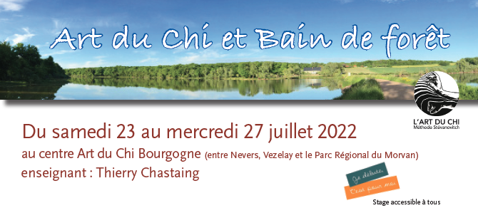 Bandeau de présentation du stage art  du chi et bain de forêt 2022