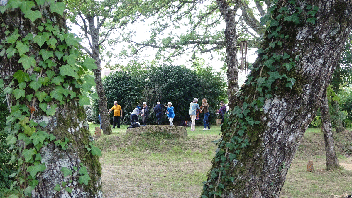 groupe Tai chi dans les arbres