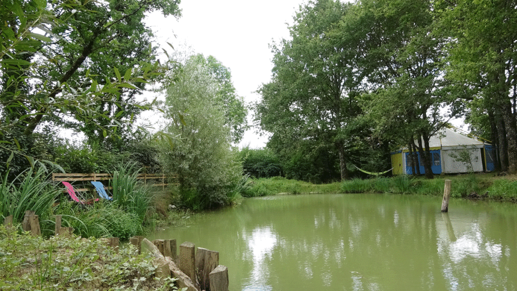 Plan d'eau du centre Art du Chi bourgogne